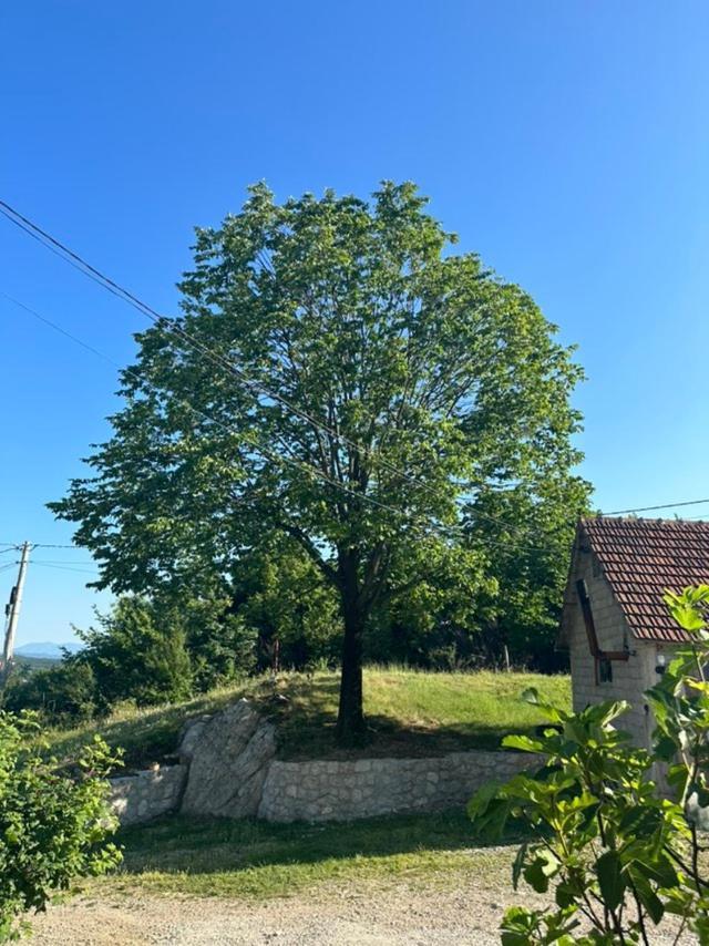 Gasthaus Gazdinstvo Tadic Nikšić Exterior foto