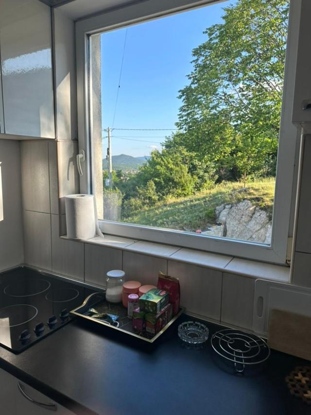 Gasthaus Gazdinstvo Tadic Nikšić Exterior foto